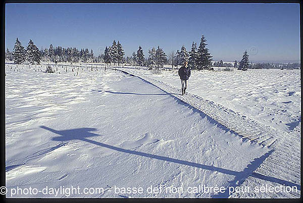 les Hautes Fagnes